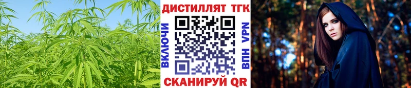 ТГК Wax  где продают наркотики  Сенгилей 