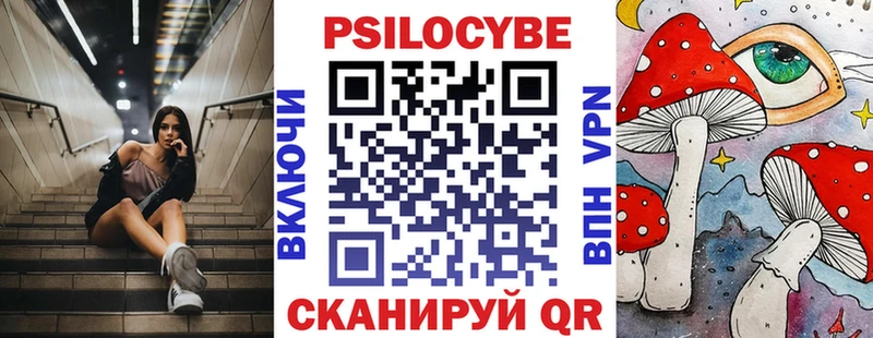 Псилоцибиновые грибы прущие грибы  купить  цена  Сенгилей 